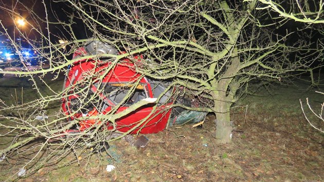 idi s autem sjel ze silnice a narazil do stromu. Zrannm na mst podlehl (15. 12. 2015).