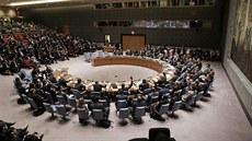 Zasedání Rady bezpenosti Organizace spojených národ (17. prosince 2015)