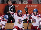 etí hokejisté oslavují vítzství na domácím Ruskem v rámci Channel One Cupu....