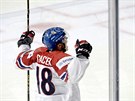 eský hokejista Michael paek slaví gól v utkání proti Rusku na mistrovství...