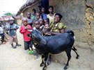 Vánoce v Kongu - prostednictvím lovka v tísni mohou ei darovat kozy a...