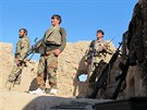 Afghántí vojáci v provincii Hílmand bojují s Talibanem (20. prosince 2015)
