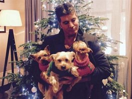 Simon Cowell své psy oblékl do vánoních oblek.