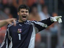 Pavel Srnek