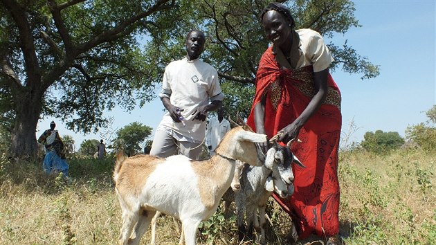 Vnoce v Sdnu - prostednictvm lovka v tsni mohou ei darovat kozy a zajistit tak obivu zejmna vdovm v Africe.