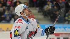 Chomutovský hokejista Peter Ölvecký slaví gól.