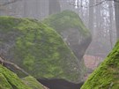 Melancholická nálada v Národní pírodní rezervace Jizerskohorské buiny
