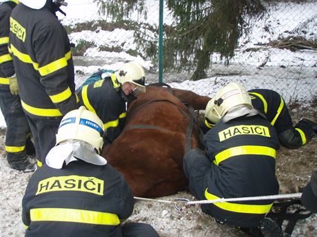 Kon se podailo hasim zvednout a za pomoci jeábu.