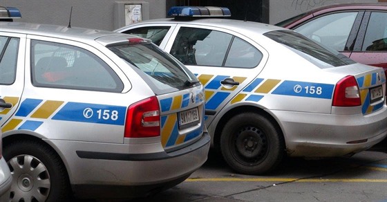 Policie podle NKÚ nakupuje auta, která nevyužije (ilustrační foto)