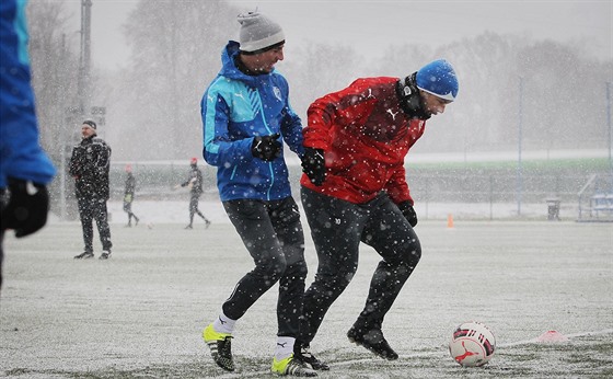 Fotbalisté Plzn si na prvním tréninku v roce 2016 zakopali na snhovém...