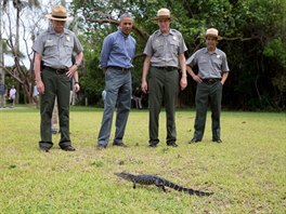 Prezident Obama a správci parku pozorují mlád aligátora v Národním parku...