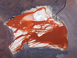 Bolívie, solné jezero Laguna Colorada. Jezero o rozloze 60 km2 se rozkládá v...