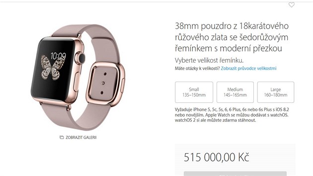 Apple zane hodinky Watch na eskm trhu prodvat 29.1. 2016