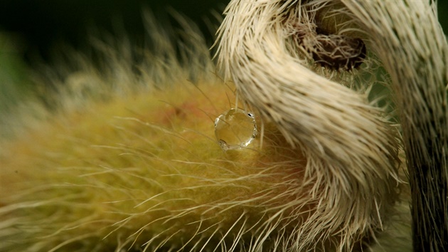 Snímek z fotografického kurzu v Botanické zahrad.