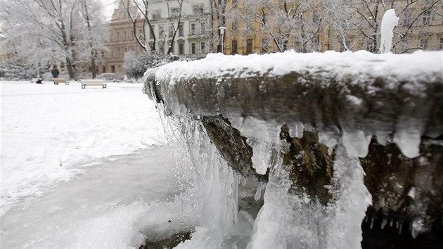 Krsn ledov tvary na kan si mnoz nvtvnci naden fot, protoe jsou v centru Brna nevdan.