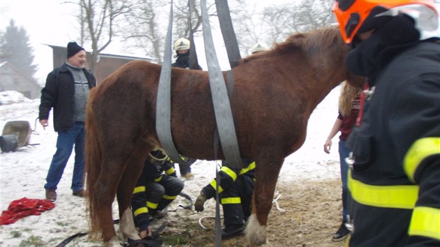 Koně se podařilo hasičům zvednout až za pomoci jeřábu.