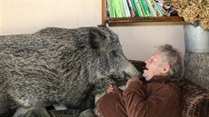Pasqualina nevynechá ani chvilku, aby se nep�i�el s �ta�kou� pomazlit.