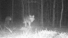 ilustra�ní snímek