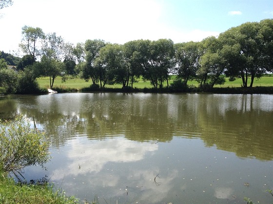 Pilařský rybník je nejvýraznější částí parku (ilustrační snímek).