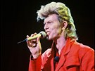 David Bowie nebyl jen vynikající zpvák a skladatel, ale také schopný...