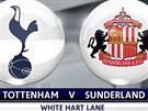 Premier League: Tottenham - Sunderland