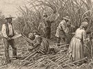 Otroci na louisianských plantáích