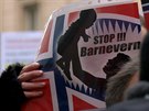 demonstrace proti norskému Barnevern