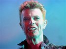 David Bowie (Catalonia, 12. ervence 1996)