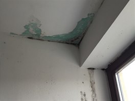 Okolí okna v koupeln v podkroví je extrémn napadené plísnmi a vlhkostí. 