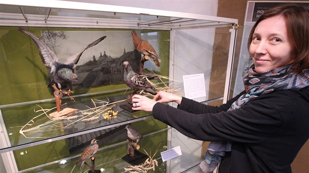 Kurtorka Ladislava Filipov s vycpanmi ptky, kte jsou soust vstavy o holub pot.