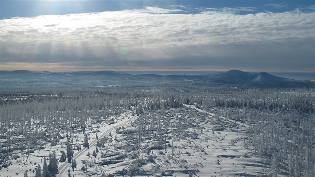 Záběr z webové kamery - Rokytská slať na Šumavě. V noci na úterý tam teplota spadla pod minus 32 stupňů. (19. ledna 2016)