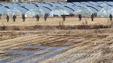 Jihokorej�tí vojáci nedaleko hranic se Severní Koreou. (13.ledna 2016)