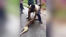 Mu z hada vymakává kozy