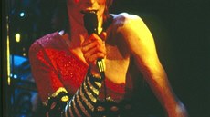 Skute�nou popularitu mezi rebelujícími teenagery zp�vák získal ve chvíli, kdy...