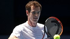 Andy Murray bhem tréninku na Australian Open