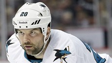 John Scott v dresu San Jose Sharks