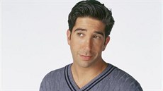 David Schwimmer v seriálu Pátelé