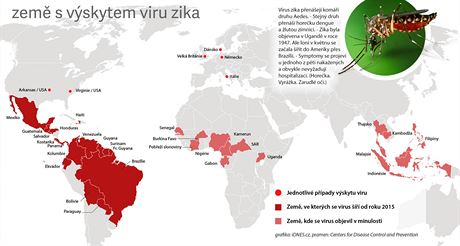 en viru zika