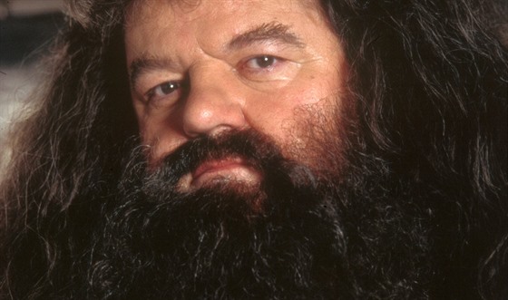 Nechat si je rst, nebo holit? Hagrid a hipstei mají o vousech jasno.