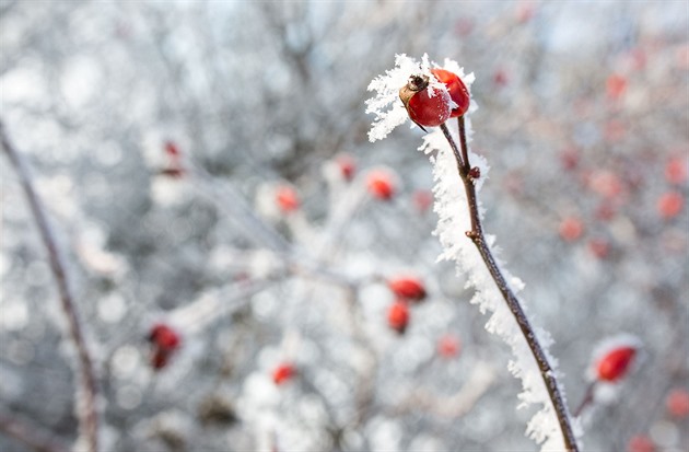 Česko o víkendu sevřou silné mrazy, přes noc klesnou teploty k minus 16