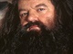 Nechat si je rst, nebo holit? Hagrid a hipstei maj o vousech jasno.