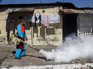 Boj proti viru zika v Salvadoru (26. ledna 2016)