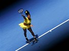 Americká tenistka Serena Williamsová podává v osmifinále Australian Open.