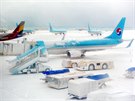 Mráz a sníh komplikovaly provoz na letiti v Jiní Koreji (24. ledna 2016)
