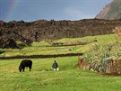 Vulkanický ostrov Tristan da Cunha je hornatý, jediná rovinná oblast je v okolí...
