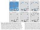 Jak AlphaGo vybírá, jaký tah udlá: nejprv posoudí, jaké monosti má a který...