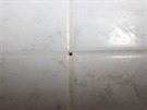 Pohled na skrytou kameru ve sp��e kachli�ek v koupeln�, kterou v olomouck�m...