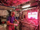 Astronaut Steve Swanson aktivuje 7. kvtna 2014 ervené, modré a zelené diody v...