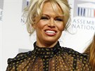 Pamela Andersonová ve francouzském Národním shromáždění, dolní komoře...