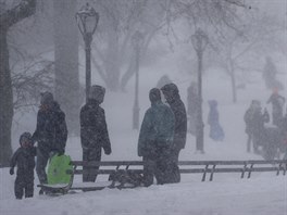 Mnoho lidí vyrazilo do newyorského Central Parku se sákami a boby (24. ledna...